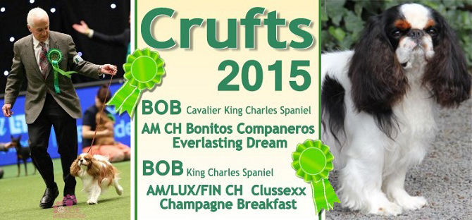 BOB Crufts-2015