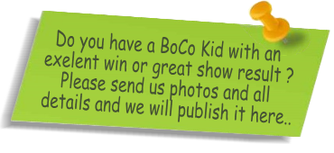 Do you have a BoCo Kid with an exelent win or great show result 