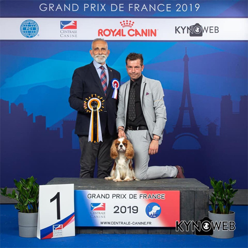 Prix de France 2019 - Junior Best of Breed - Bonitos Companeros Neptune