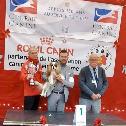 ROUEN CAC /CACIB - Bonitos companeros Neptun