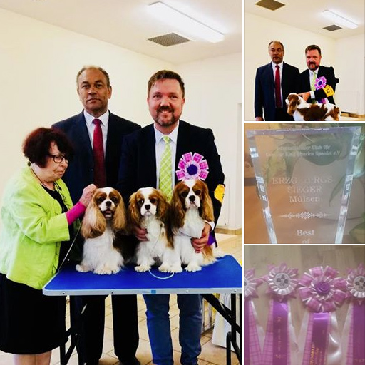 : ICC Dog Show Mlsen - Erzgebirgssieger 