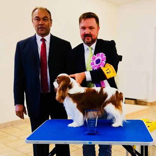 : ICC Dog Show Mlsen - Erzgebirgssieger 