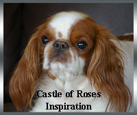 inspiration inspiration